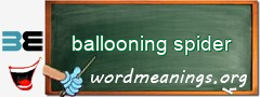 WordMeaning blackboard for ballooning spider